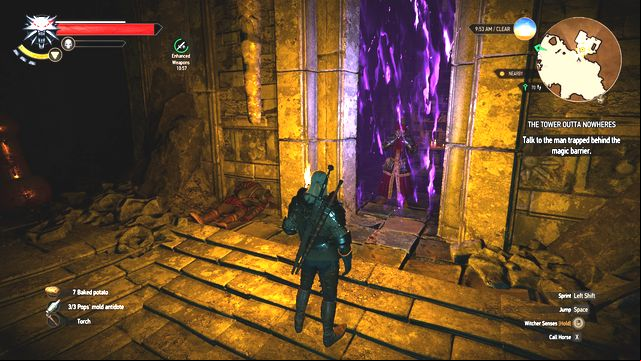 Talk to the mage trapped behind the magic barrier. - The Witcher 3 Wild Hunt: Side quests in An Skellig - list, walkthrough - An Skellig - The Witcher 3 Wild Hunt Guide