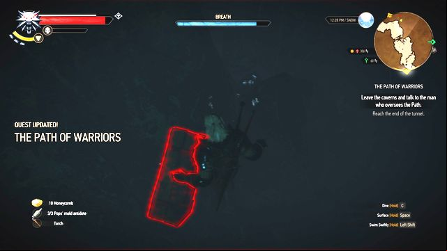 After you swim through the tunnel, dive again to find the chest. - The Witcher 3 Wild Hunt: Side quests in An Skellig - list, walkthrough - An Skellig - The Witcher 3 Wild Hunt Guide