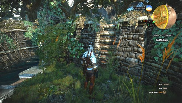 In some situations you will have to use the ladders in the rock. - The Witcher 3 Wild Hunt: Side quests in Hindarsfjall - list, walkthrough - Hindarsfjall - The Witcher 3 Wild Hunt Guide