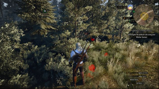 Follow the trail to the cave. - The Witcher 3 Wild Hunt: Witcher contracts in Hindarsfjall - list, walkthrough - Hindarsfjall - The Witcher 3 Wild Hunt Guide