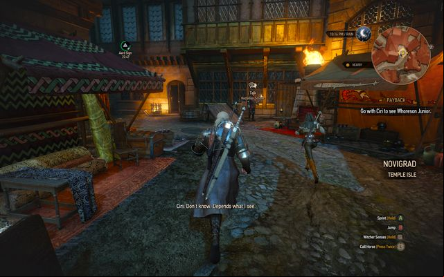 Go with Ciri to three places - The Witcher 3 Wild Hunt: Final Preparations - walkthrough - Epilogue - The Witcher 3 Wild Hunt Guide