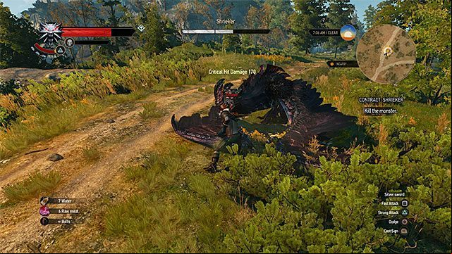 Trophy type: bronze - The Witcher 3 Wild Hunt: Trophies - list - Trophy guide - The Witcher 3 Wild Hunt Guide