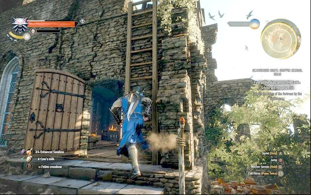 A ladder by the door by which you have entered the building. - The Witcher 3 Wild Hunt: Basic Griffin School Gear - Griffin School Gear - The Witcher 3 Wild Hunt Guide