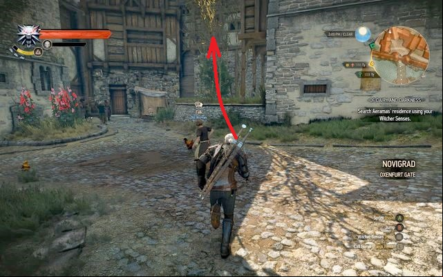 Behind this tree, you will find a hidden ladder leading to the first floor of the building - The Witcher 3 Wild Hunt: Enhanced Cat School Gear - Cat School Gear - The Witcher 3 Wild Hunt Guide