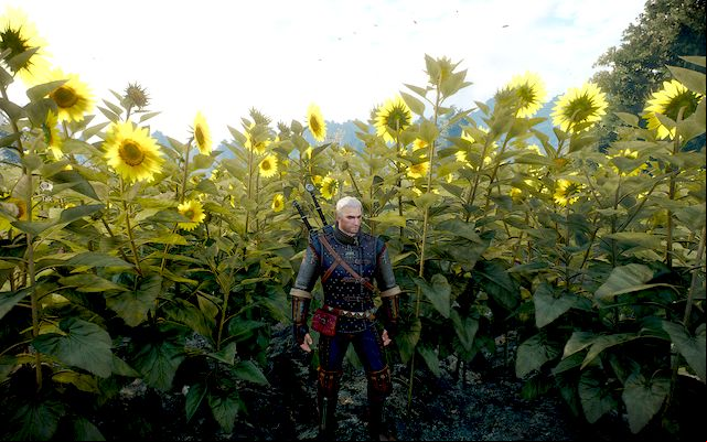 Superior Cat School Gear - The Witcher 3 Wild Hunt: Superior Cat School Gear - Cat School Gear - The Witcher 3 Wild Hunt Guide