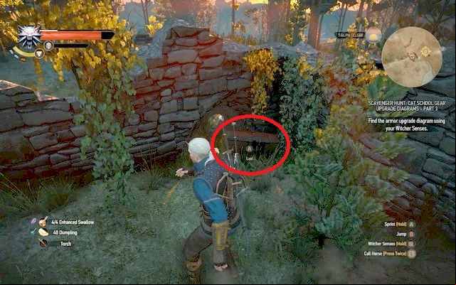After defeating the elementals, approach the ruins from the south - The Witcher 3 Wild Hunt: Superior Cat School Gear - Cat School Gear - The Witcher 3 Wild Hunt Guide