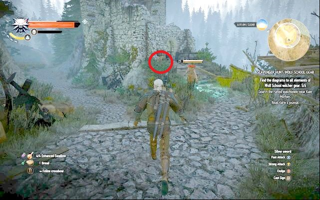 Wraith in ruins and the diagram by the stairs - The Witcher 3 Wild Hunt: Basic Wolf School Gear - Wolf School Gear (DLC) - The Witcher 3 Wild Hunt Guide