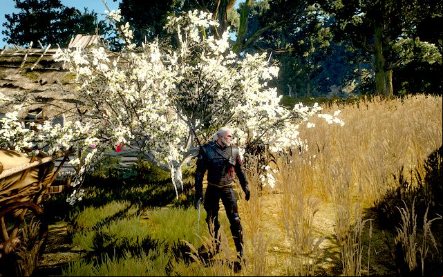 Superior Wolven School Gear - The Witcher 3 Wild Hunt: Superior Wolf School Gear - Wolf School Gear (DLC) - The Witcher 3 Wild Hunt Guide