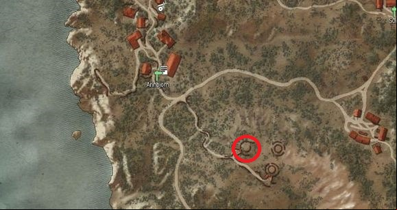To the south-west from Arinbjorn a small basement is located - The Witcher 3 Wild Hunt: Superior Wolf School Gear - Wolf School Gear (DLC) - The Witcher 3 Wild Hunt Guide