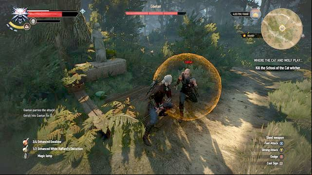 Gaetan - The Witcher 3 Wild Hunt: Where the Cat and Wolf Play... - walkthrough - Free DLC - The Witcher 3 Wild Hunt Guide