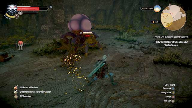Arachas in the cave - The Witcher 3 Wild Hunt: Contract, Skelliges Most Wanted - walkthrough - Free DLC - The Witcher 3 Wild Hunt Guide