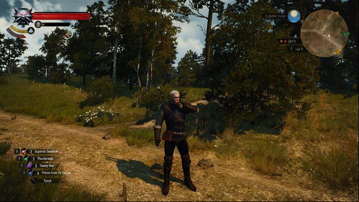 From now on, drinking potions, eating, gathering herbs, oiling the blades, mending and improving the swords and armor, as well as opening containers are now preceded with a proper animation - The Witcher 3 Wild Hunt: Extra Animations - installation - The best mods - The Witcher 3 Wild Hunt Guide