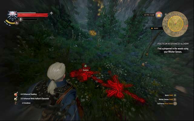 The plants remains in the forest - The Witcher 3 Wild Hunt: Practicum in Advanced Alchemy - walkthrough - Kaer Trolde - The Witcher 3 Wild Hunt Guide