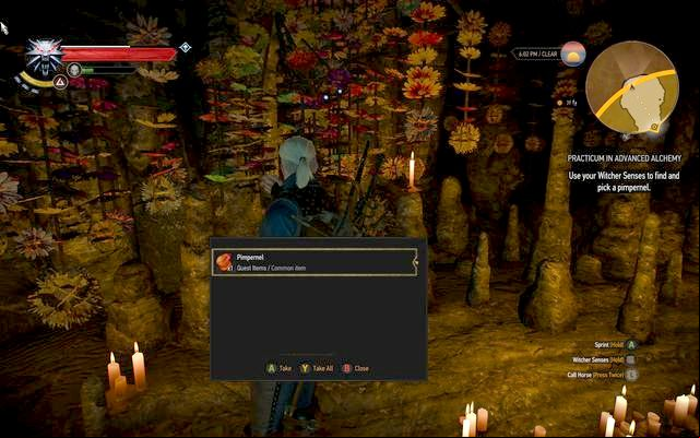 Pimpernel in succubus cave - The Witcher 3 Wild Hunt: Practicum in Advanced Alchemy - walkthrough - Kaer Trolde - The Witcher 3 Wild Hunt Guide