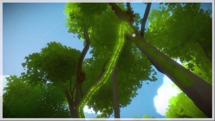 The last riddle in which you use trees is at the trees that show you the solution for the underground with the access code to the film - Collectibles | Jungle in The Witness - Jungle - The Witness Game Guide & Walkthrough