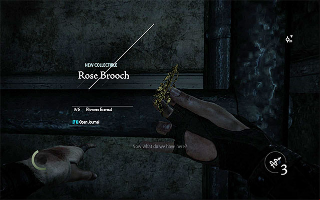 The brooch is on the pipe - Flowers Eternal - Collectibles - Thief - Game Guide and Walkthrough