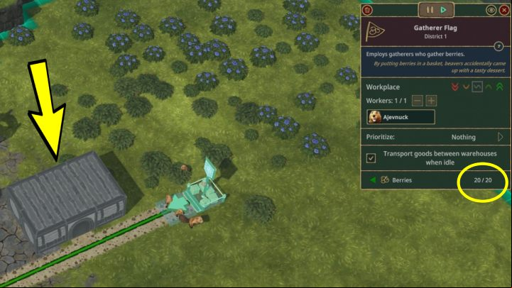The reason why your worker is sitting idly by the ripe berry bushes may be the lack of space to store this resource - Timberborn: Gatherer Flag (food storage) - why doesnt he pick berries? - FAQ - Timberborn Guide