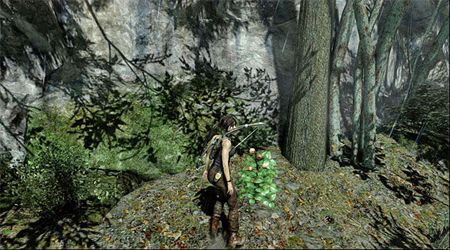 But thats not all - Unlocking skills | Skills - Skills - Tomb Raider Game Guide