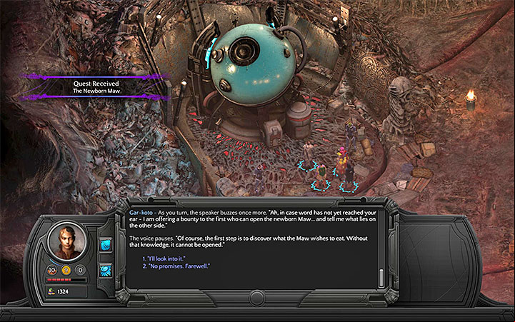 Talk to Gar-koto about the new Maw - The Newborn Maw - side quest walkthrough | Small Nihilesh - Bloom: Small Nihilesh - Torment: Tides of Numenera Game Guide
