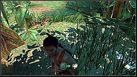 Silver Inca Earring - after crossing the field with wooden traps, dont run straight to the fort, but turn left and by the rock run onto the elevation, bying the red flowers - Uncharted 1: Chapters 4, 5 - treasures, collectibles - Treasures / Collectibles - Uncharted Drakes Fortune Guide