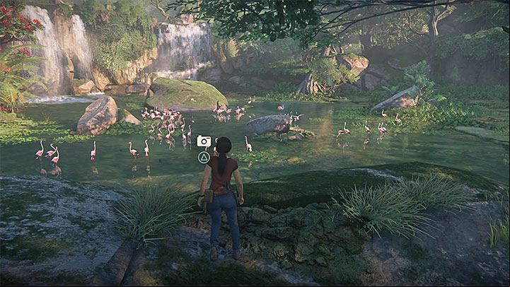 Stop the Jeep when you reach the body of water shown above, where you encounter a large group of flamingos - 3 - Homecoming | Walkthrough - Walkthrough - Uncharted: The Lost Legacy Game Guide