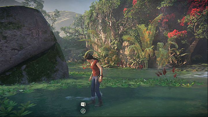 After you have taken the photos, you chase the flamingoes away and explore the location where they have been - 3 - Homecoming | Walkthrough - Walkthrough - Uncharted: The Lost Legacy Game Guide