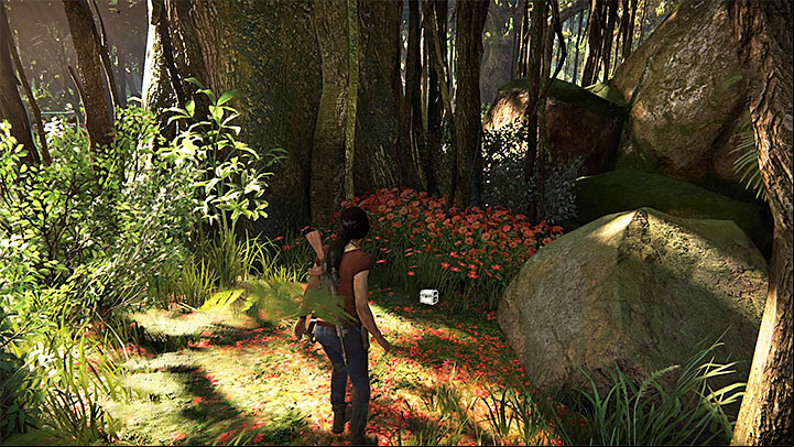This is one of the better-hidden treasures and to find it, you have to go to the forest southwards of Shivy fort - 4 - Treasures in Wester Ghats | Secrets - Secrets - Uncharted: The Lost Legacy Game Guide