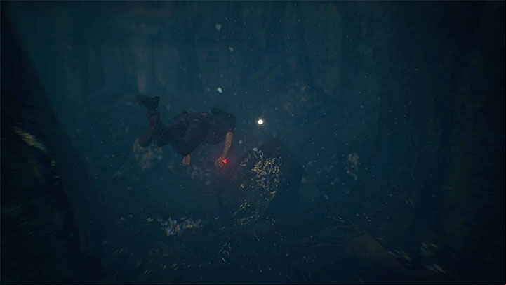 Right after you enter the chamber with a large Shiva statue, stand right in front of it - Solution to the puzzle with Shivas statue | Walkthrough - Walkthrough - Uncharted: The Lost Legacy Game Guide
