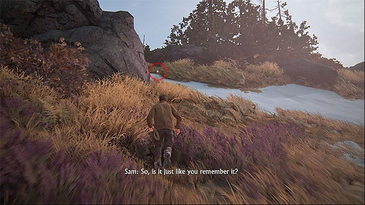 Chapter eight is very long, and thus you can collect eleven treasures - Uncharted 4: Chapter 8 The Grave of Henry Avery - treasure list - Treasures - Uncharted 4: A Thiefs End Game Guide