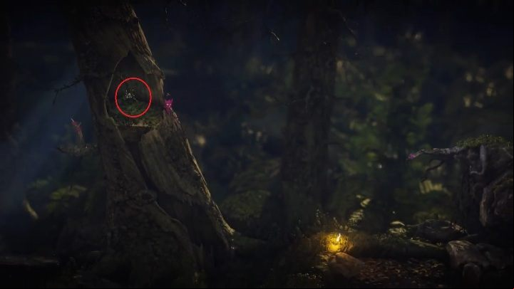 This secret can be found in the hollow of a tree. - Night Swimming | Secrets and Collectibles | Unravel 2 - Secrets and collectibles - Unravel 2 Game Guide