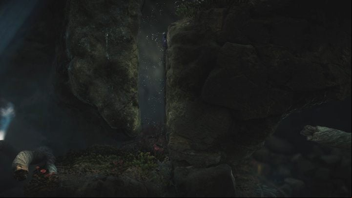 You can learn one more mechanic in the cave - Foreign Shore level walkthrough in Unravel 2 - Walkthrough - Unravel 2 Game Guide