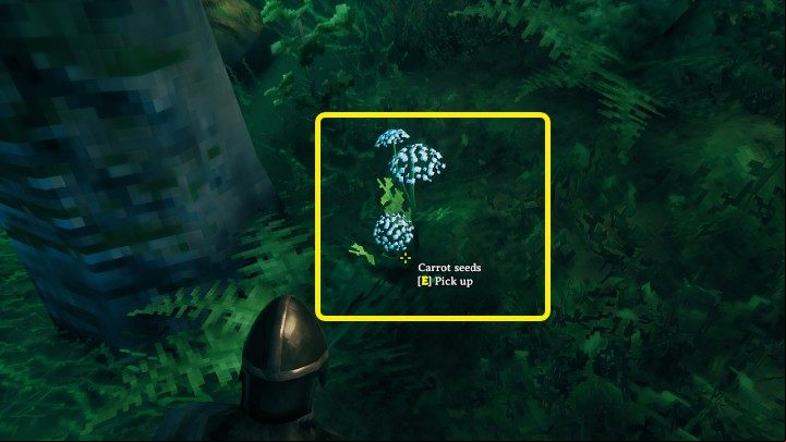 In Valheim, certain seeds such as Carrot seeds and Turnips can be found in specific biomes - Valheim Guide