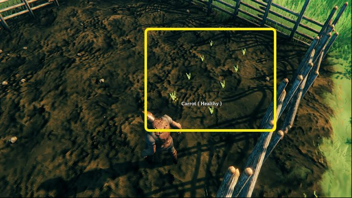 Plant the seeds in such a way that the vegetables have space to grow - if they are planted too close to each other, they won't grow - Valheim Guide