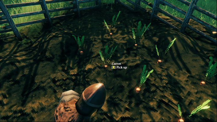 Once the seeds have been planted, you can wait for the vegetables to grow - Valheim Guide