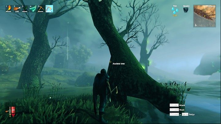The Ancient bark is obtained after cutting down the Ancient trees which can be found in the Swamps - Valheim: How to get the Ancient bark? - Raw materials - Valheim Guide