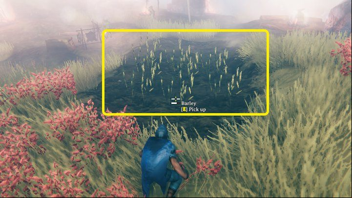 Barley can be obtained from Fuling villages found in the Plains biome - Valheim: How to obtain Barley? - Raw materials - Valheim Guide