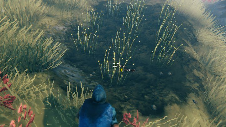 Flax can be obtained from Fuling villages which can be found in the Plains biome - Valheim: How to get Flax? - Raw materials - Valheim Guide