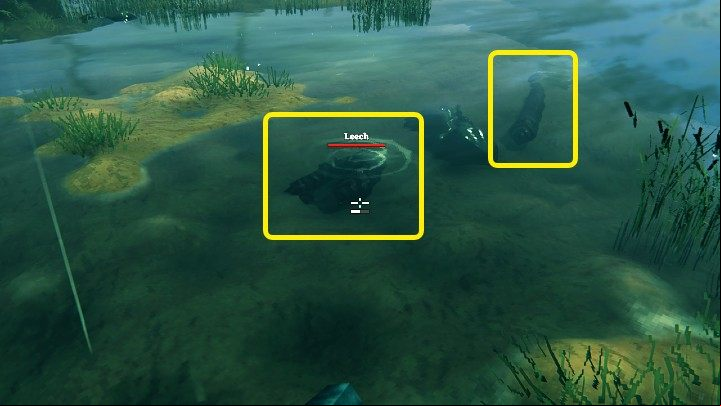 Bloodbags can be obtained by defeating Leeches - enemies that can be found in the Swamps biome - Valheim: Bloodbag - how to get it? - Raw materials - Valheim Guide