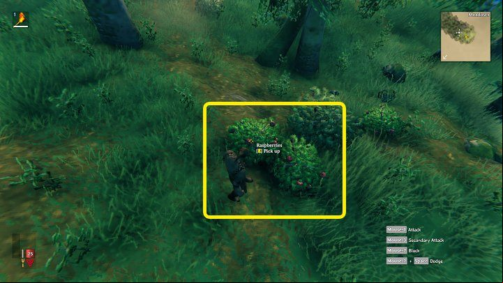 One of the most important things to do when you start playing Valheim is to get food - Valheim: Day 1 - how to survive? Where to start? - Basics - Valheim Guide