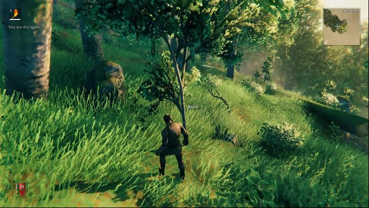 However, this is not the only way to get wood at the beginning of the game - Valheim: Day 1 - how to survive? Where to start? - Basics - Valheim Guide