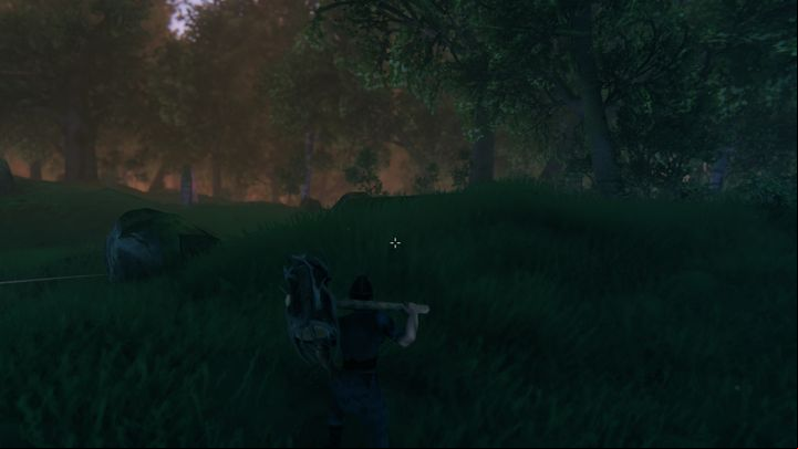 This biome also has stones, flints, mushrooms, raspberries, and dandelions - Valheim: Meadows Guide - resources, opponents - Biomes - Valheim Guide