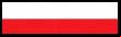 Poland (POL) - Sides of the conflict - Wargame: AirLand Battle - Game Guide and Walkthrough