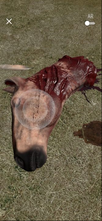 At the marked point on the map you will find a head of a horse - The Witcher Monster Slayer: Winged Bandit - walkthrough - Transition description - Witcher Monster Slayer Guide