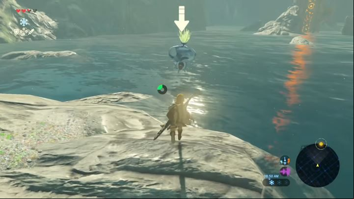 Octoroks, which look like an octopus, are pretty annoying creatures that attack you with spitting stones - All opponents Description & Characteristics in Zelda Breath of the Wild - Gameplay Basics - The Legend of Zelda Breath of the Wild Guide